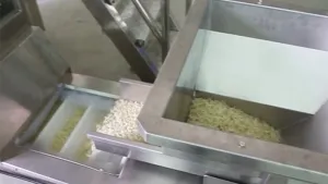 Envasadora Vertical con Pesadora Multicabezal de 10 Cabezales