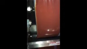 Envasadora Vertical de Líquidos con Eliminación de Aire