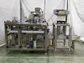 Envasadora Lineal para Bolsas Preformadas para Líquidos y Pastas