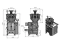Envasadora Vertical con Pesadora Multicabezal de Diez Cabezales
